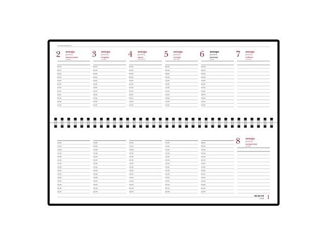 ������� ������������ ��������� 2019, �������