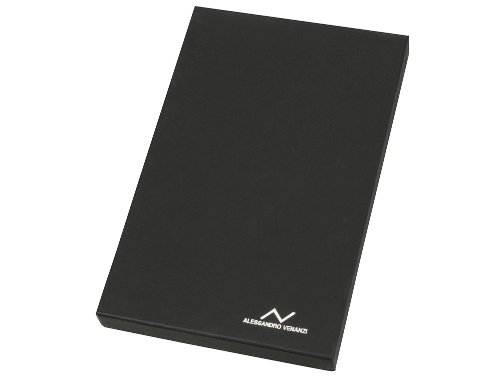 ������-�������� Alessandro Venanzi