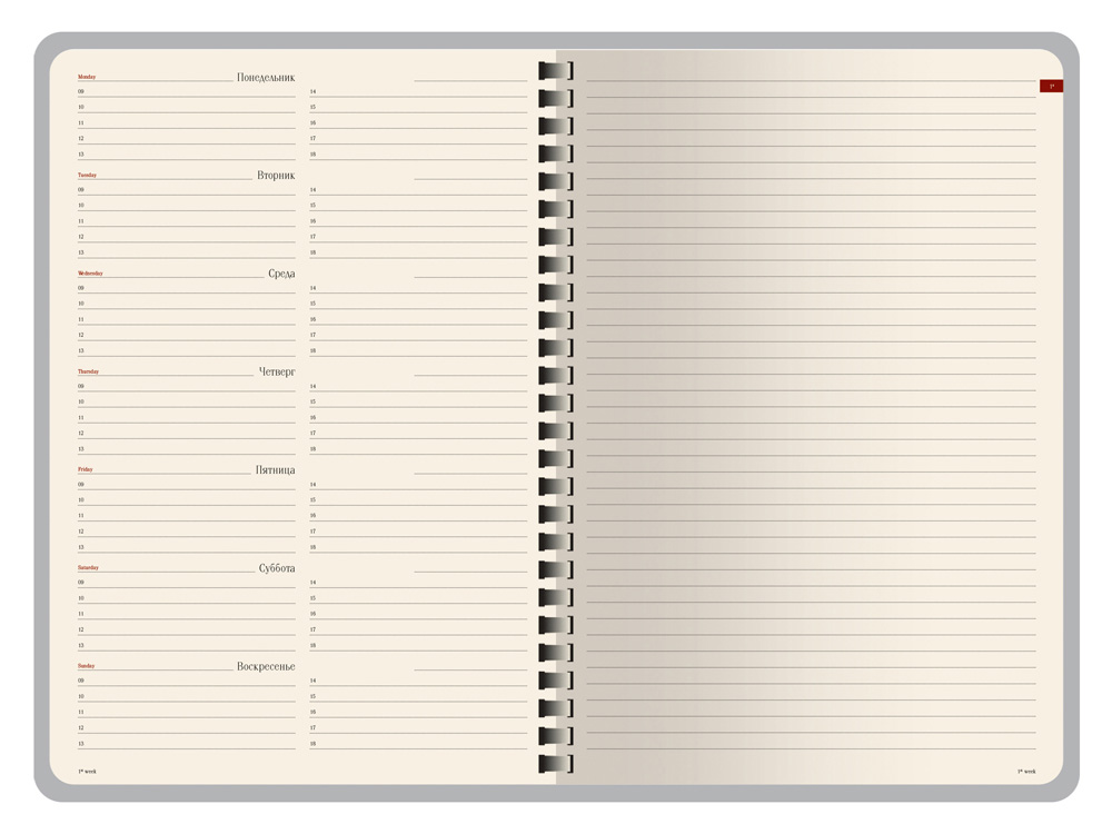 ������������ �������������� �5 Concept, ����������