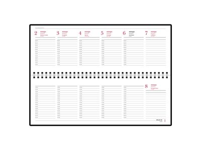 ������� ������������ ��������� 2019, ����������