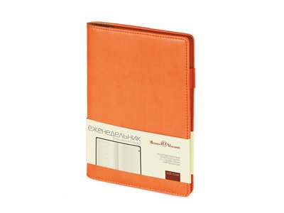 ������������ �������������� �5 �Concept�, ���������