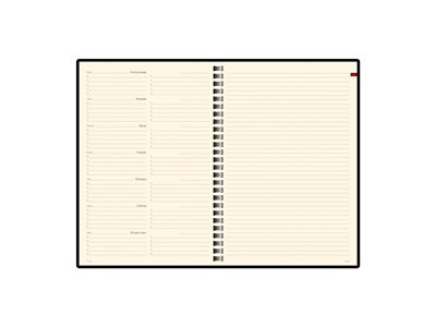 ������������ �������������� �5 �Concept�, ���������