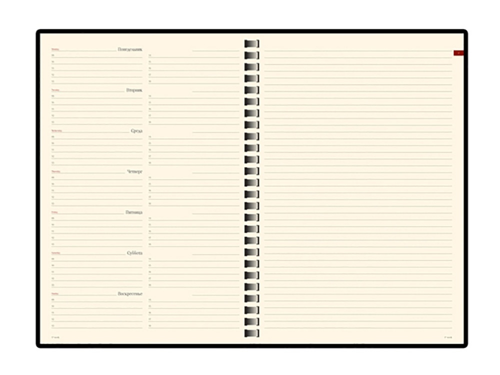 ������������ �������������� �5 Concept, ����������