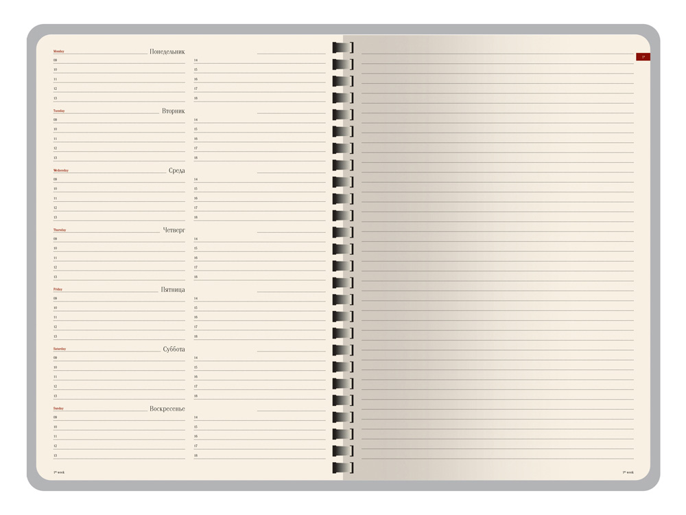 ������������ �������������� �5 �Concept�, ���������