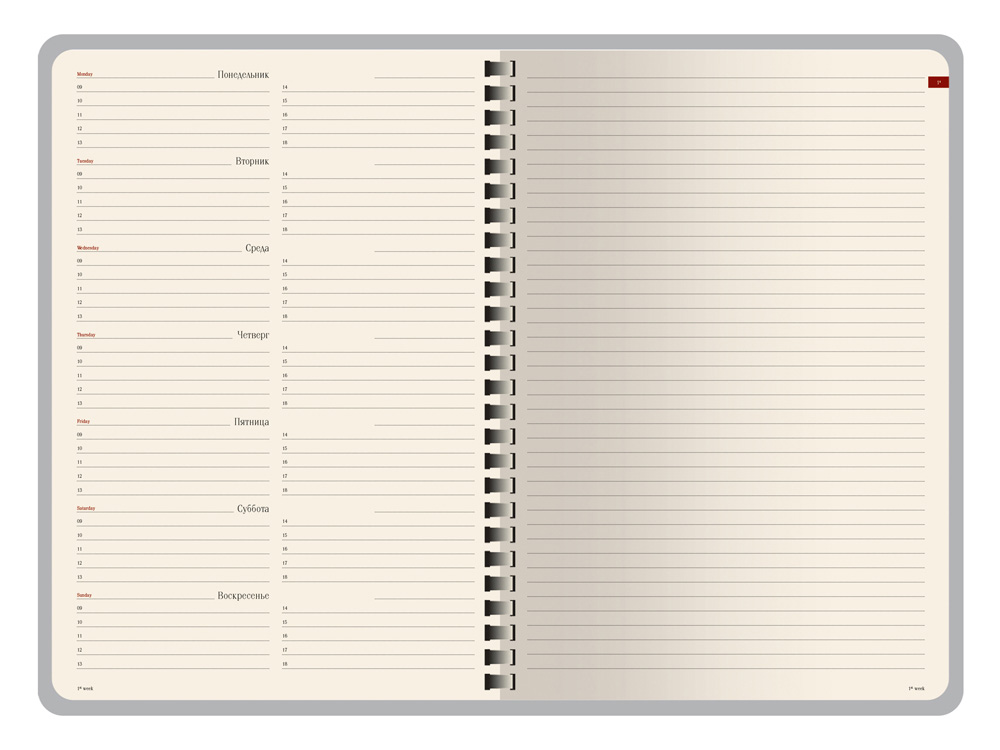 ������������ �������������� �5 Concept, �������