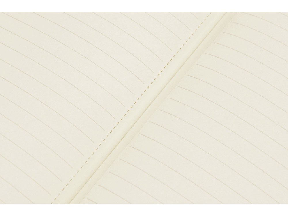 ������� Notepeno 130x205 �� � ������������� ����������� ����������, �����