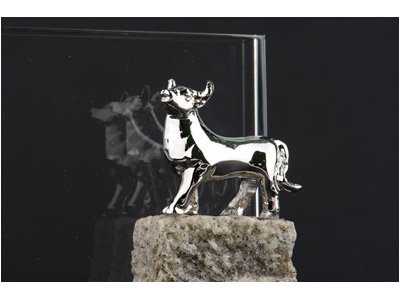 ���������� ��������� �������