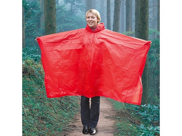 �������� � �����, ������ ������