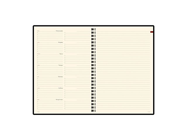 ������������ �������������� �5 �Concept�, ���������