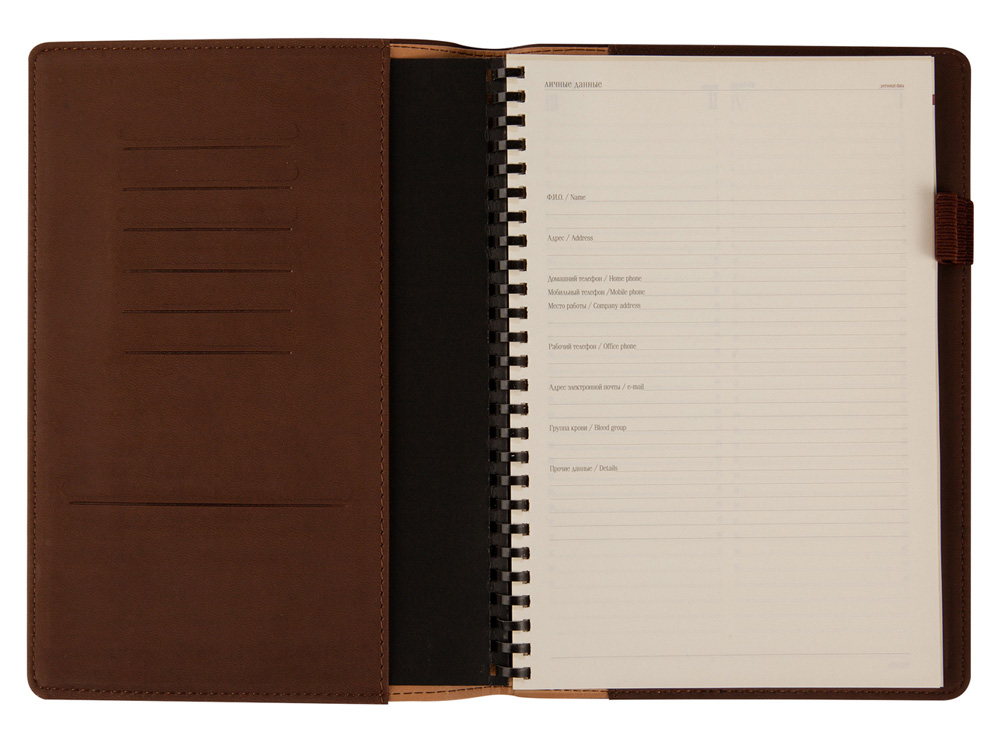 ������������ �������������� �5 Concept, ����������