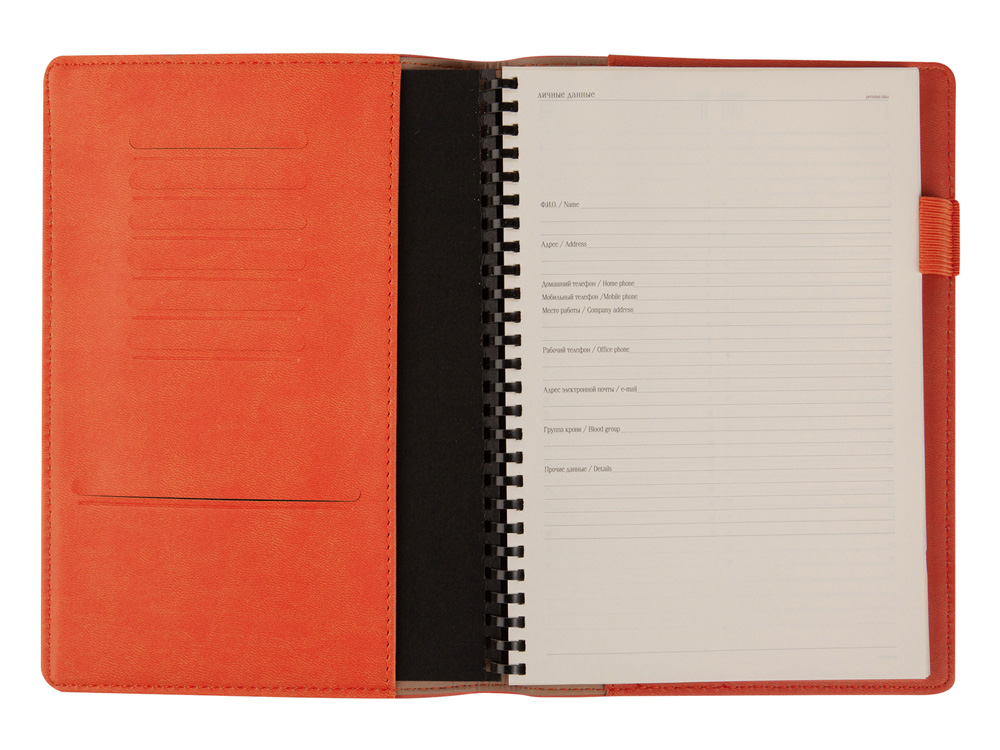 ������������ �������������� �5 �Concept�, ���������