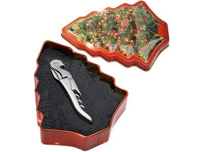 ������-���������� � ���������� �������� � ���� ����