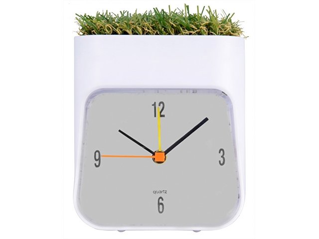 ���� ���������� "Grass"