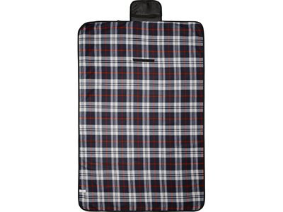 ���� ��� ������� � ������������� ����������, �����