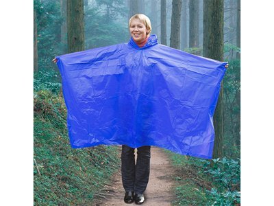 �������� � �����, ������ ������