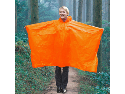 �������� � �����, ������ ������