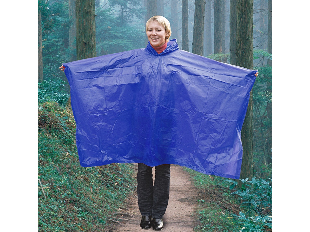 �������� � �����, ������ ������