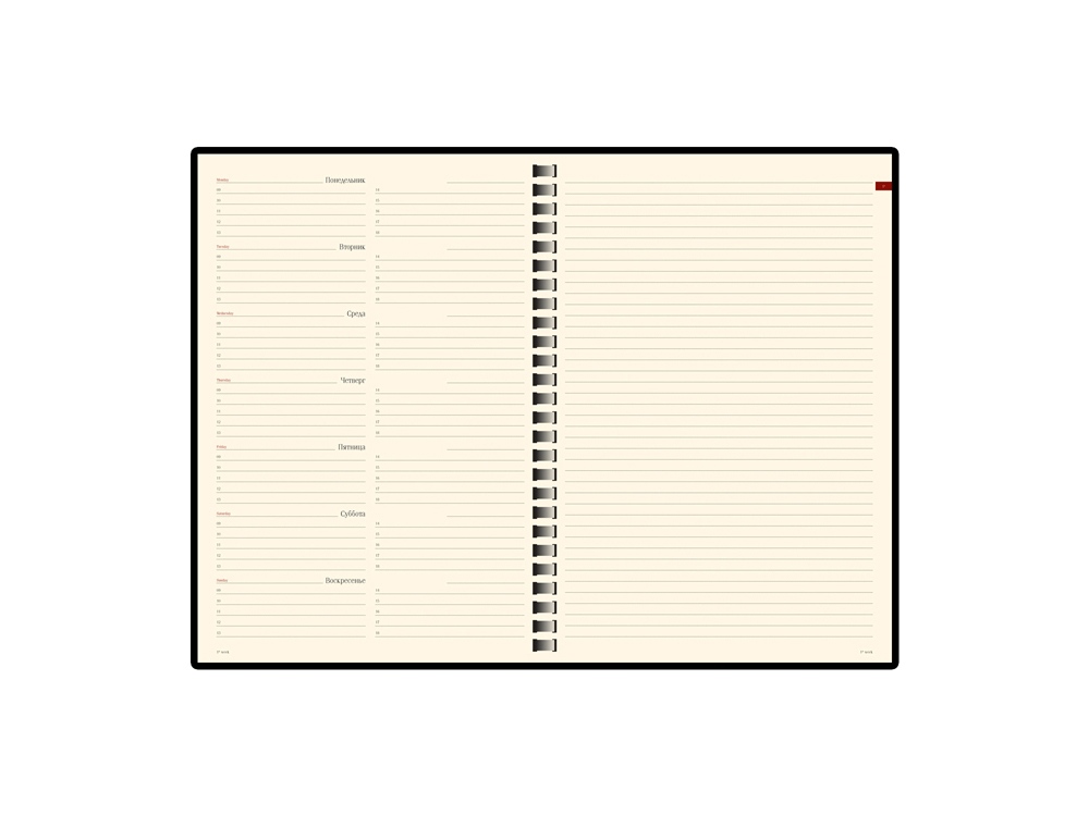 ������������ �������������� �5 �Concept�, ���������