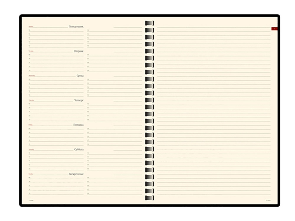 ������������ �������������� �5 Concept, �������