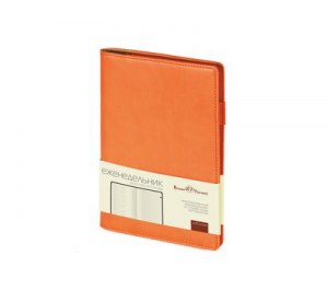 ������������ �������������� �5 �Concept�, ���������