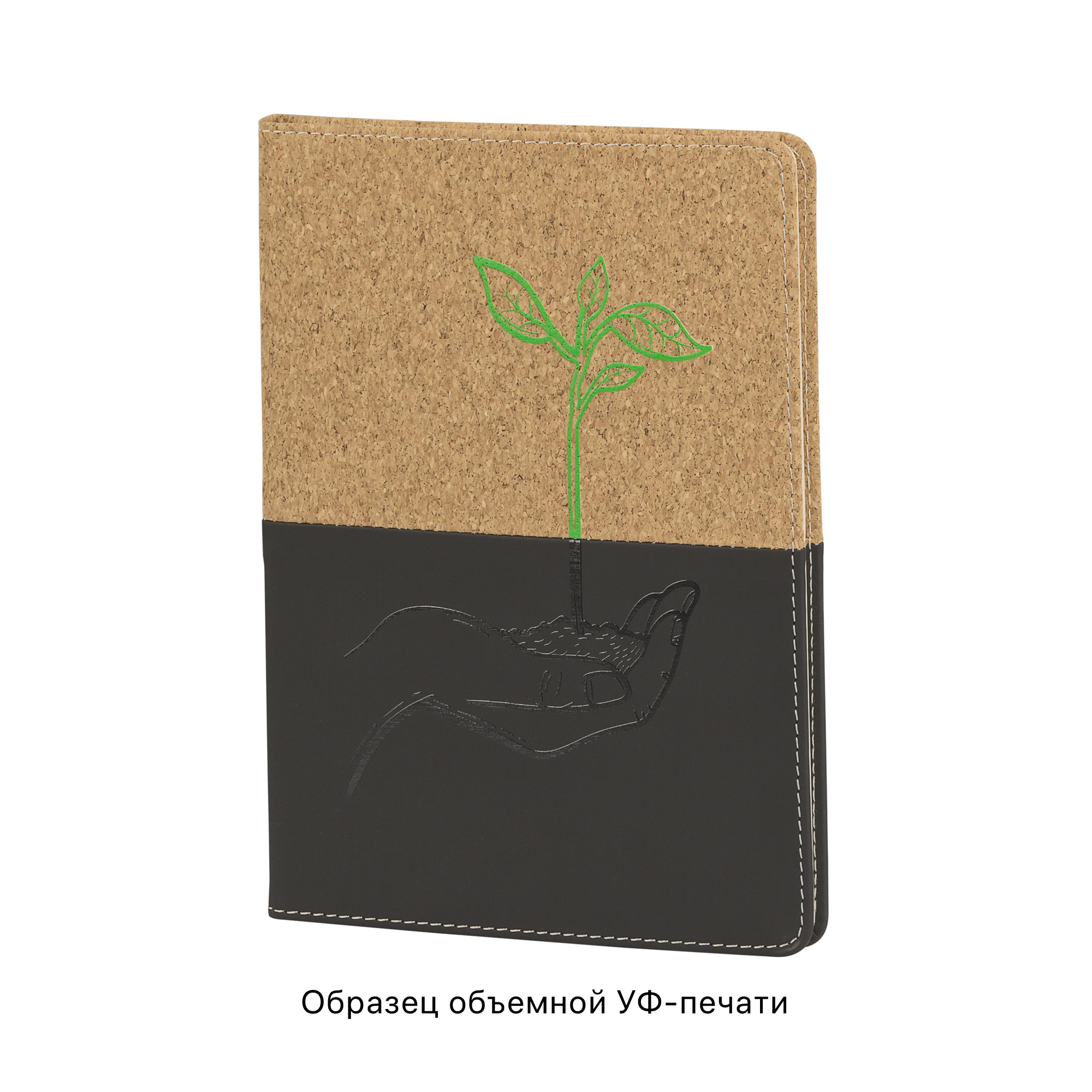 ������� "������", ������ �5