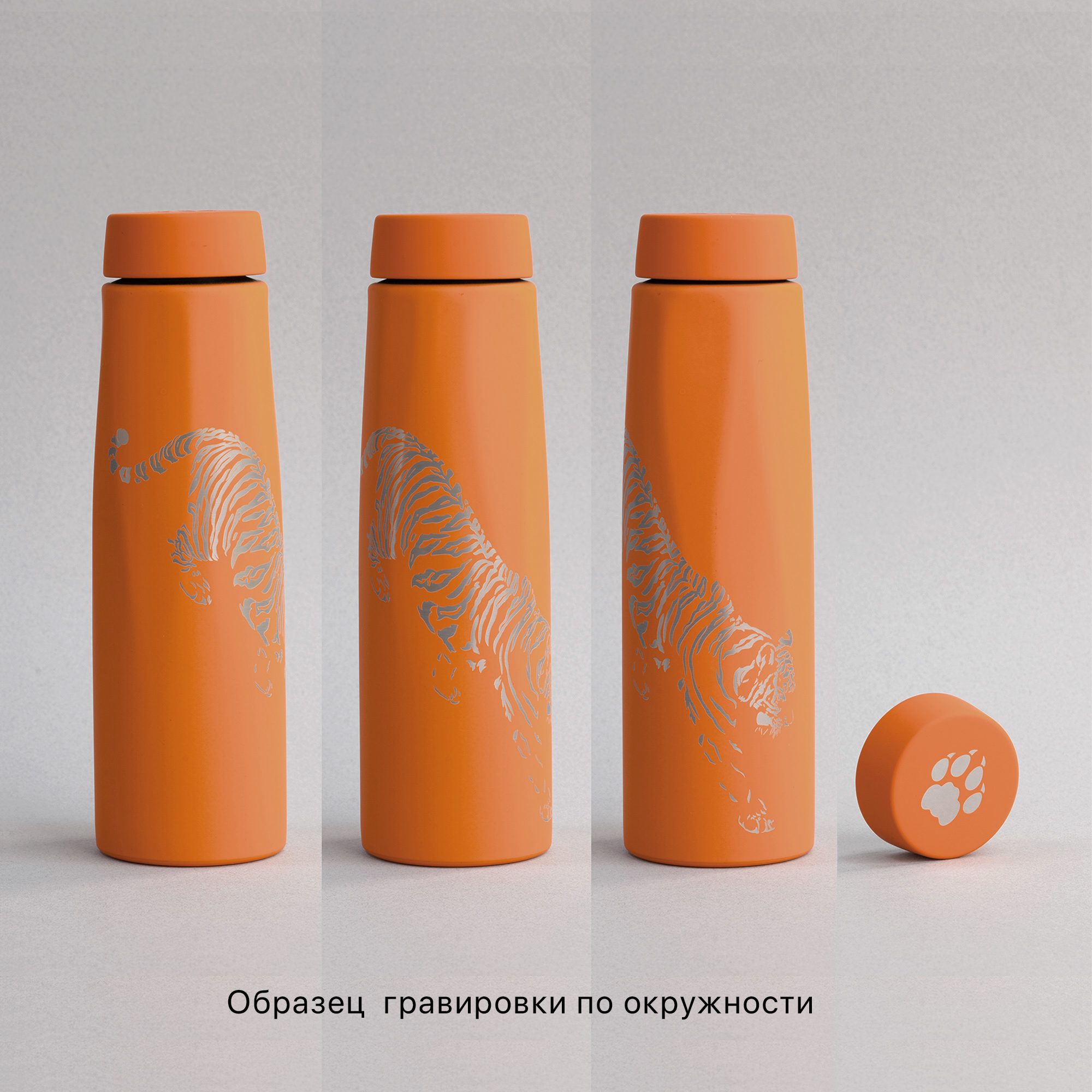 ������ "Calypso" 500 ��, �������� soft touch, �������