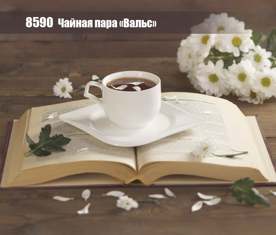 ������ ���� "�����"