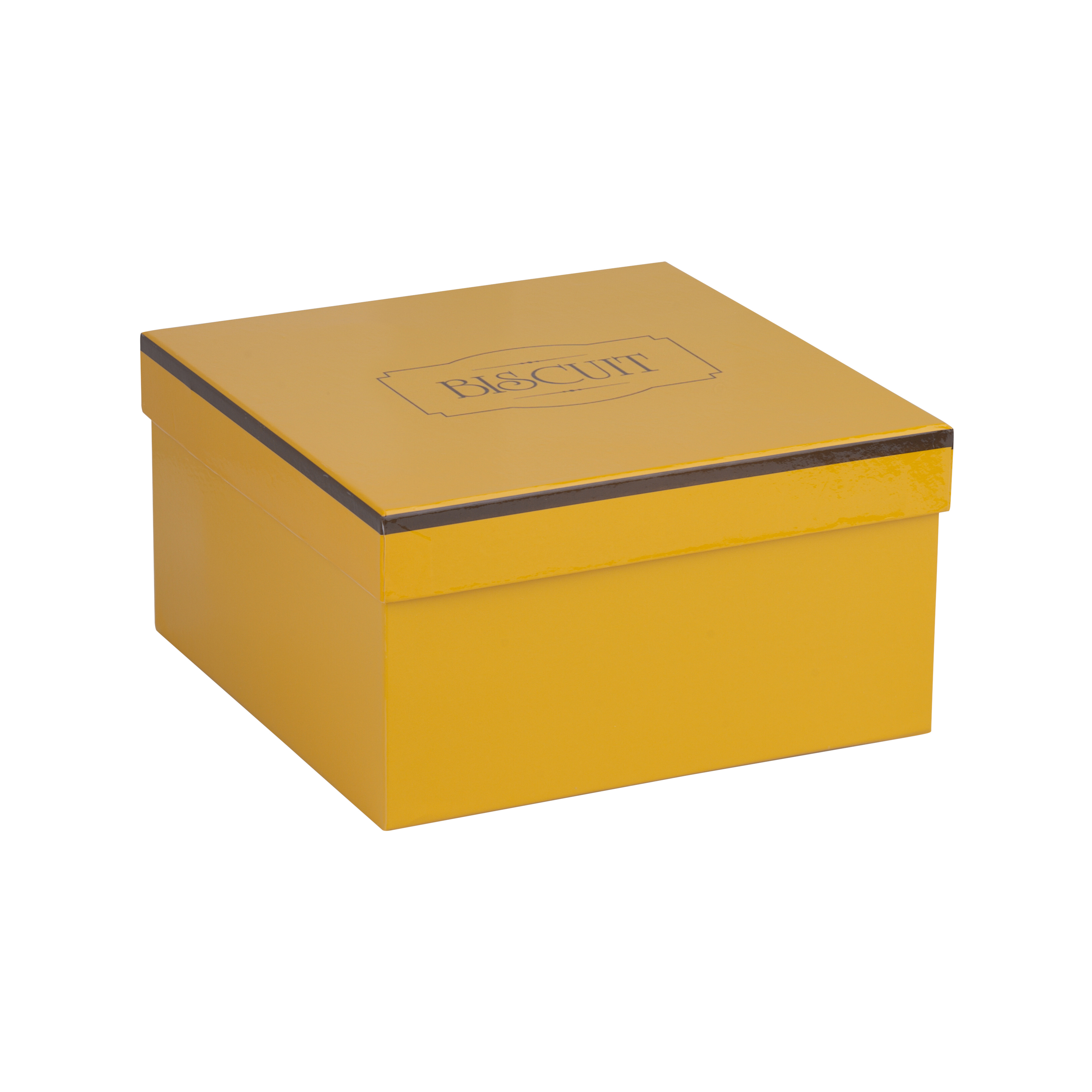 ������ ���� "����"