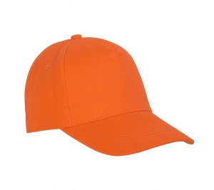 ���������, 5 �������, ������ � �������, 250 �/�2