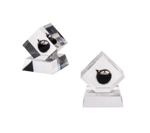 �����-����� � ������ ����� �� ���������