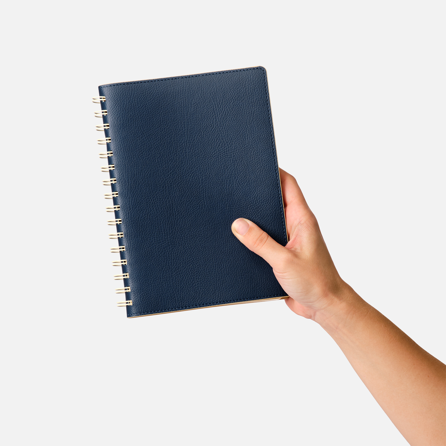 ���������� Portobello Trend, Vista, ��������������, �����/�������