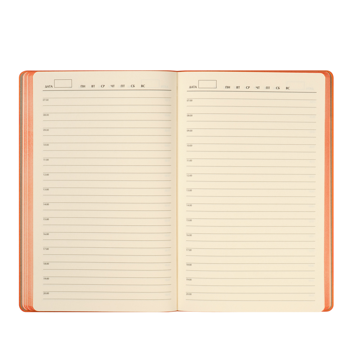 ���������� Portobello Trend, Rain, ��������������, ��������� (��� ��������, ��� �������)