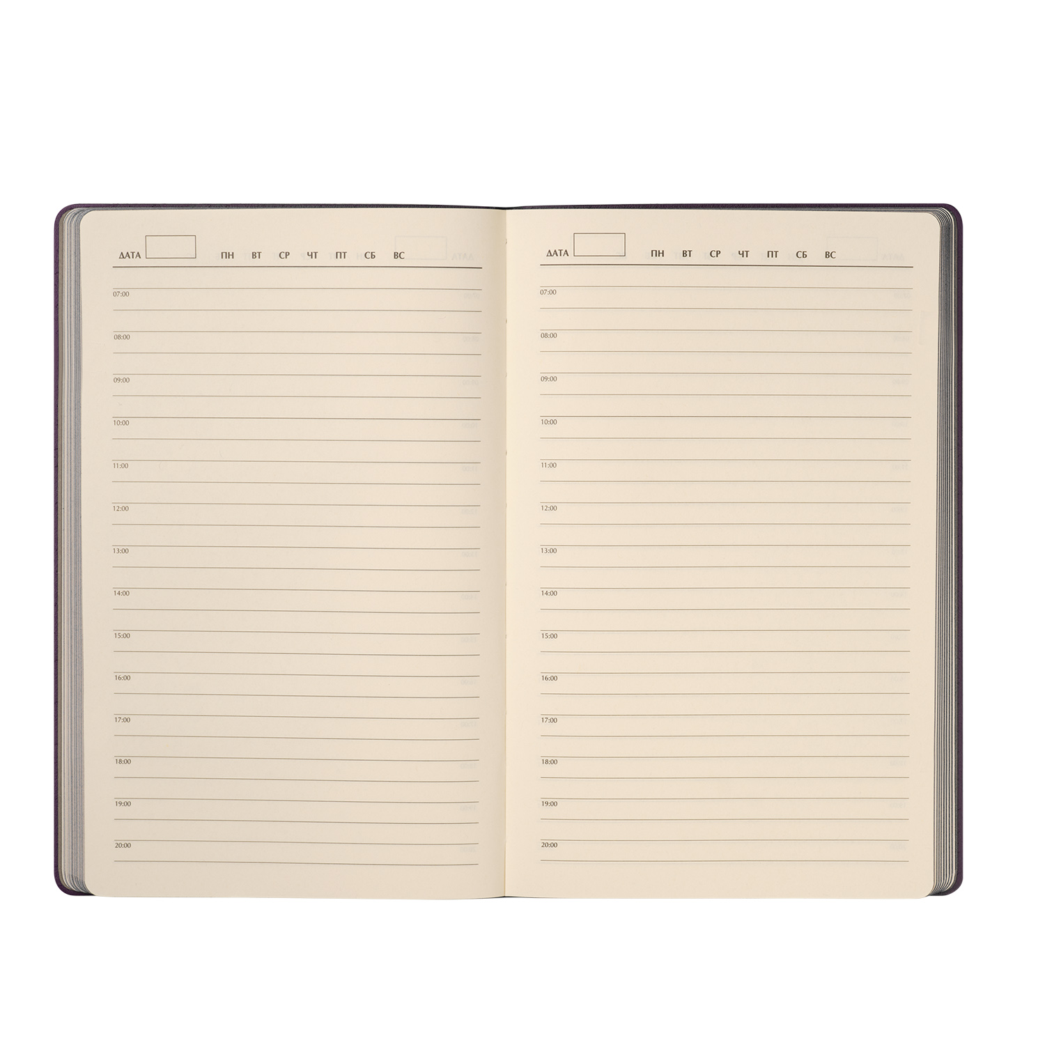 ���������� Portobello Trend, Rain, ��������������, ����������