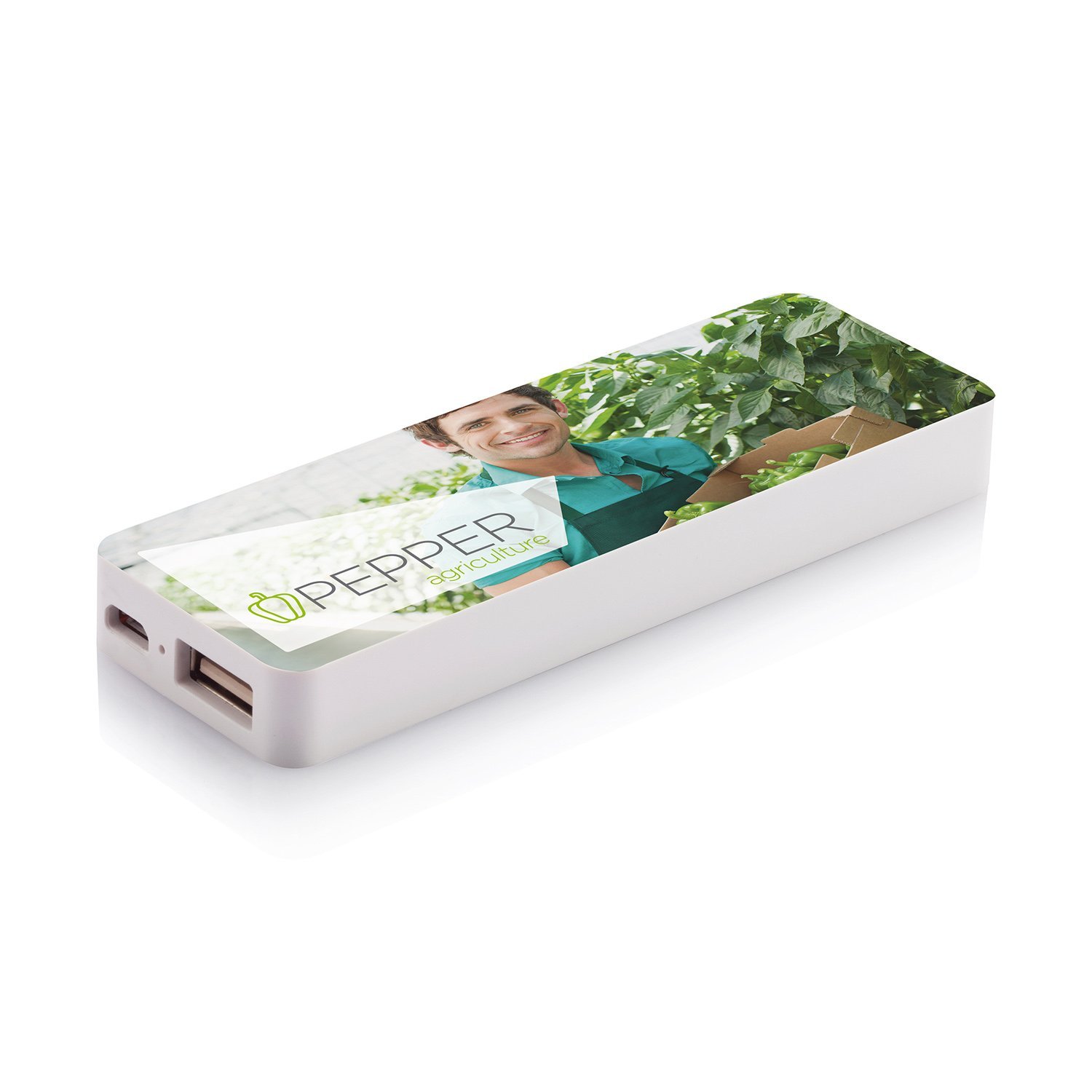 �������� ����������, 2500 mAh