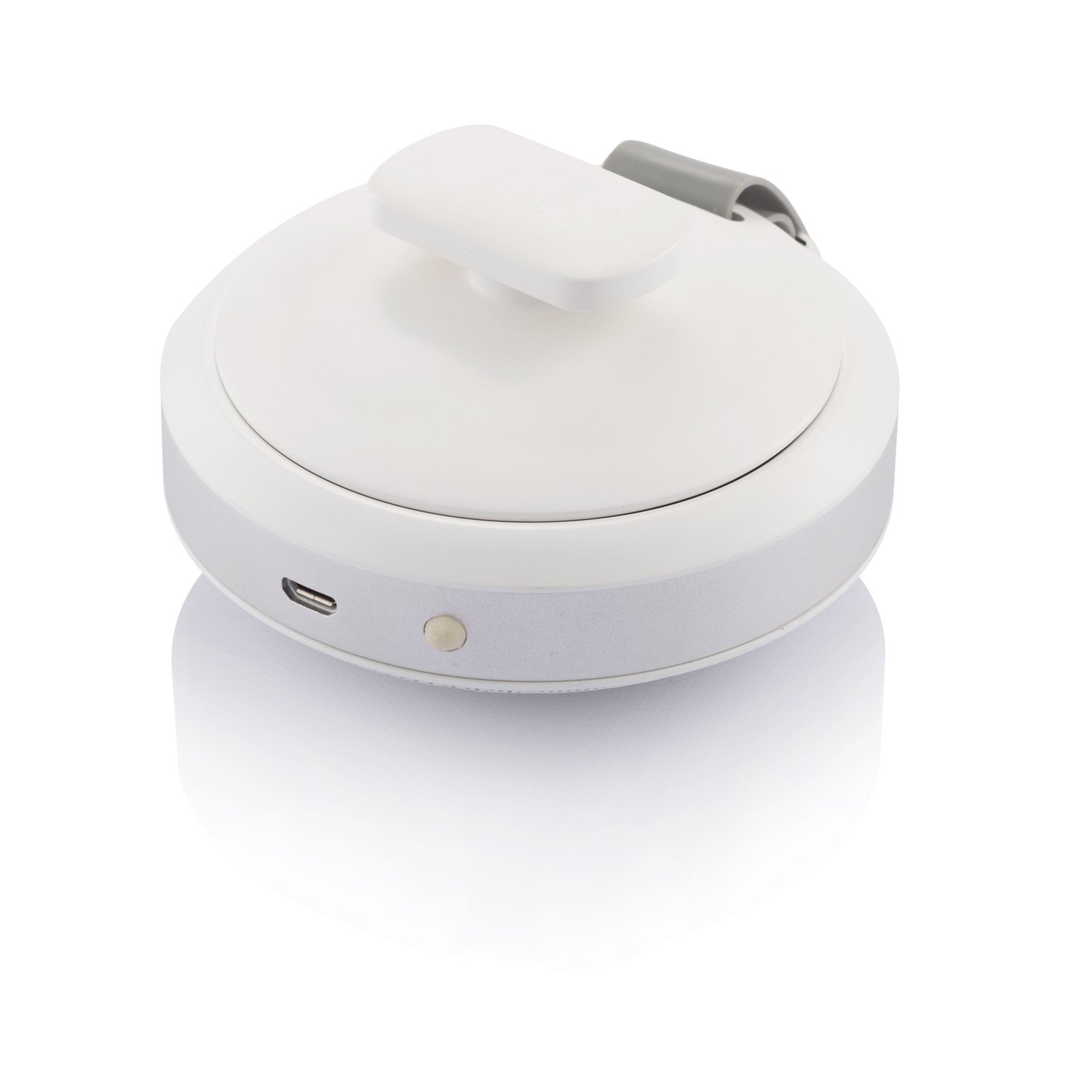 ������������ ������� Notos