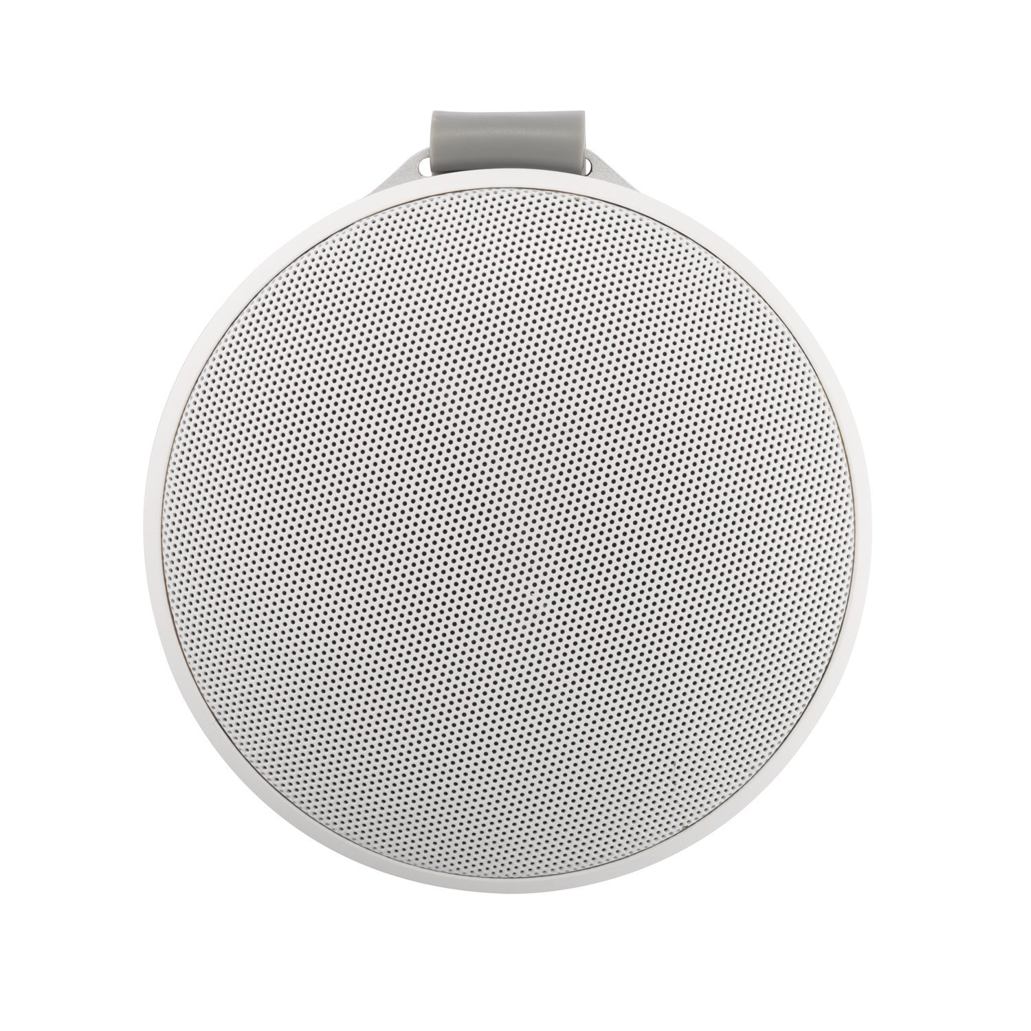 ������������ ������� Notos