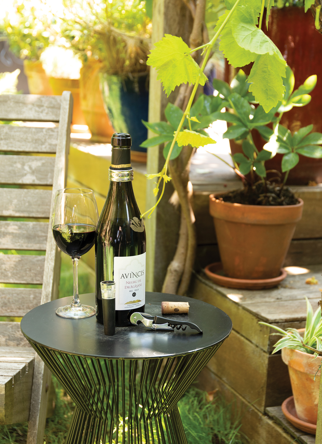 ������ ����� ������� Vino, 3 ��.