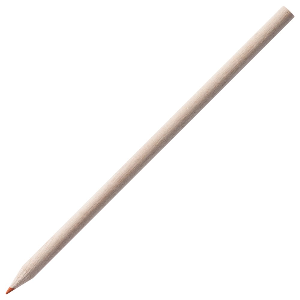   Pencilvania Maxi