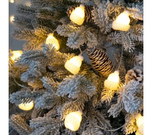  Cosy Poms, 
