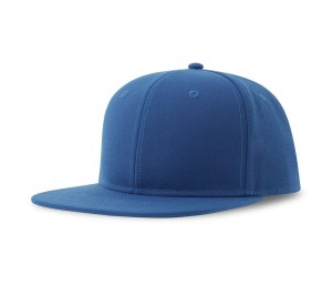  "SNAP BACK-S", 6 , . , , 100% . , 300 /2