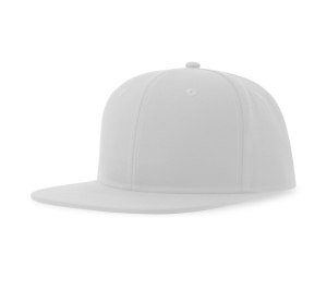  "SNAP BACK-S", 6 , . , , 100% . , 300 /2