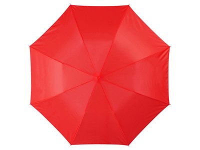     20", 