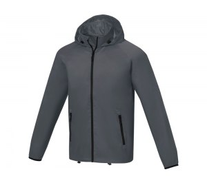 Dinlas   , storm grey