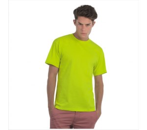   Exact 190, /pixel lime