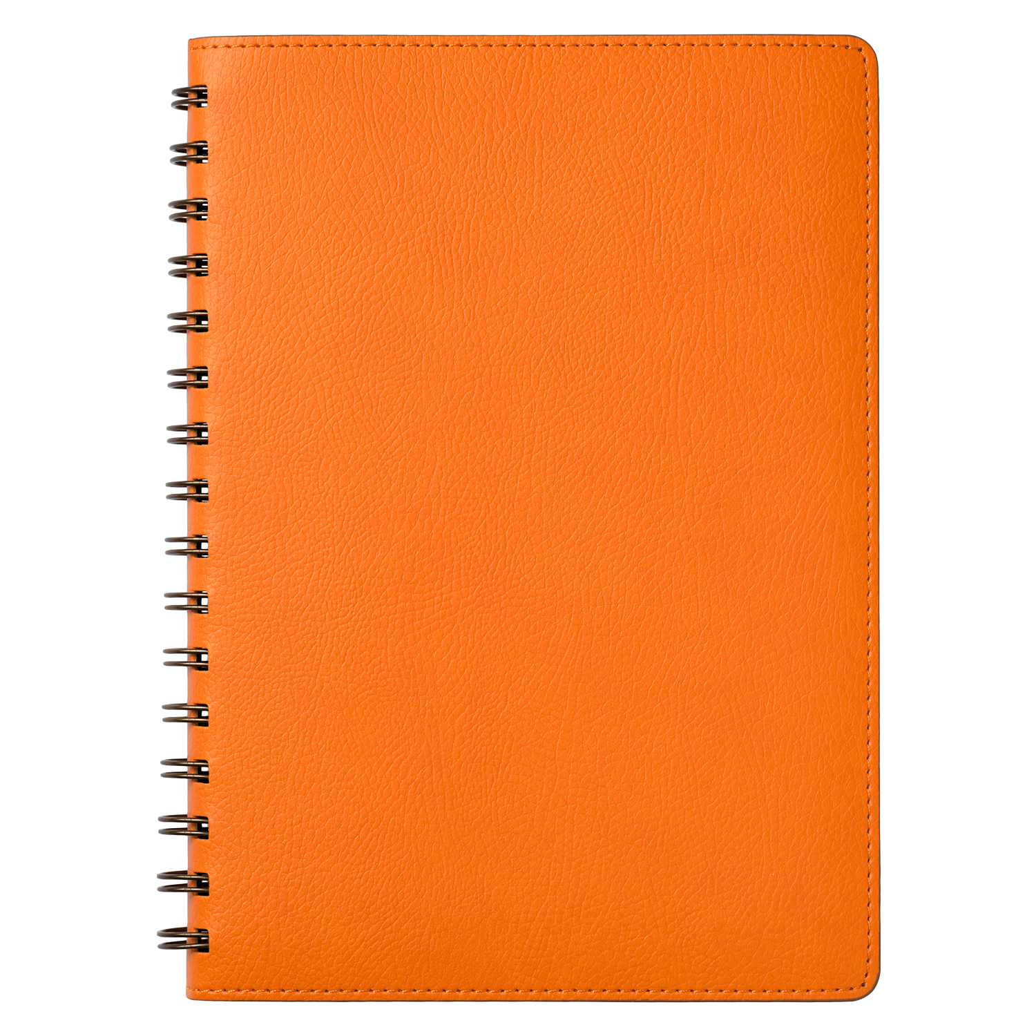  Portobello Trend, Vista, , /