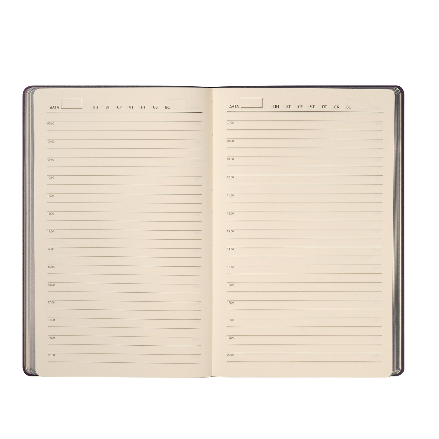  Portobello Trend, Rain, ,  ( ,  )