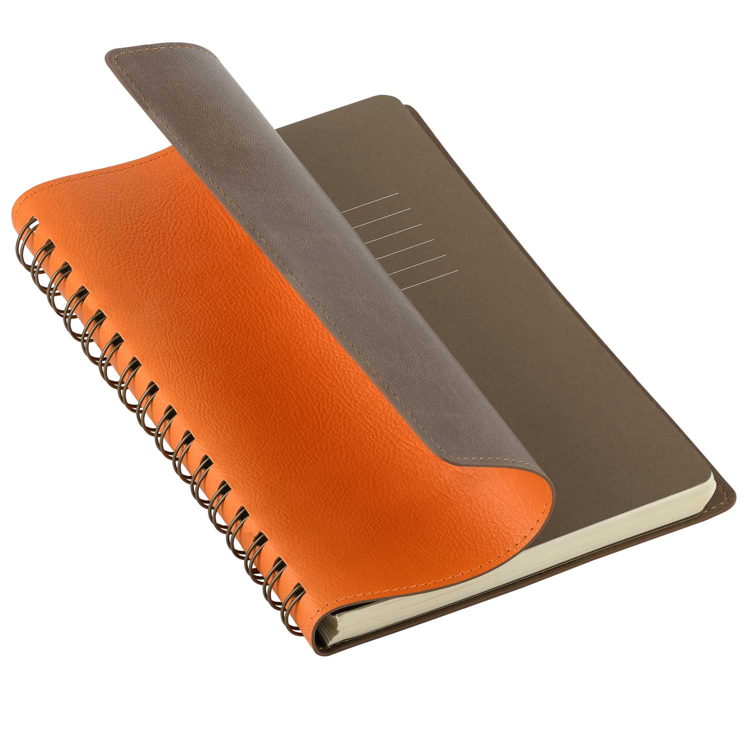  Portobello Trend, Vista, , /
