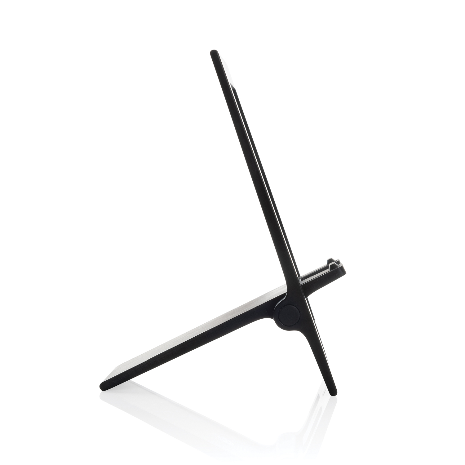     SnapStand    RCS