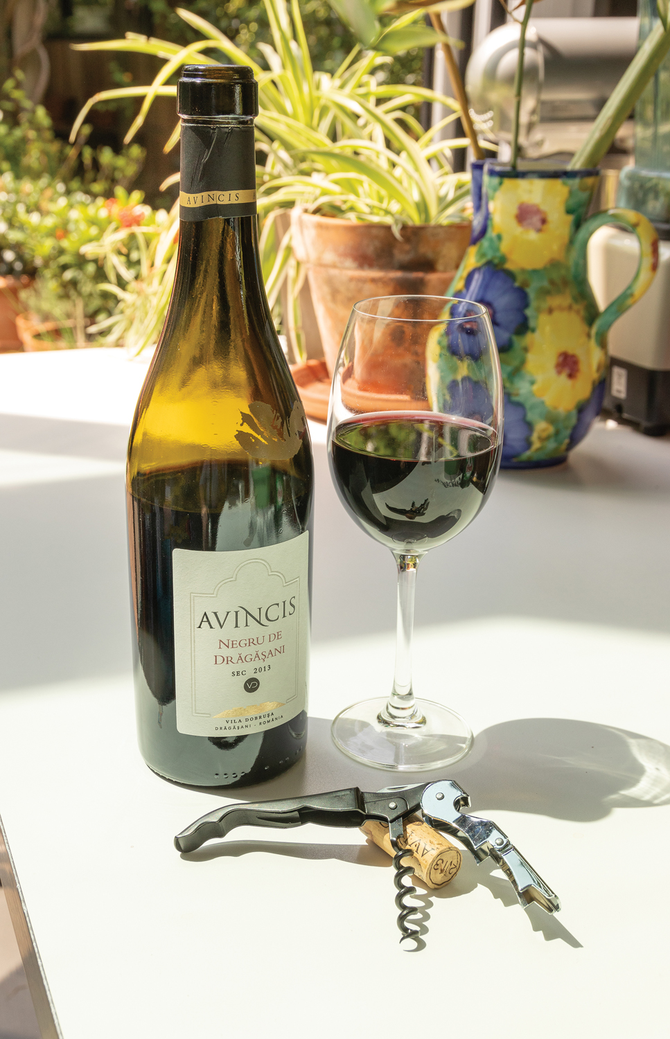   Vino